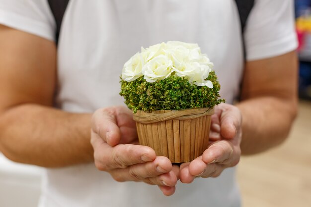 Male hands hold a pot of flowers. Gift shopping concept in store