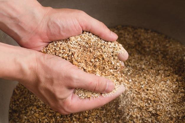 Male hands holding ground malt