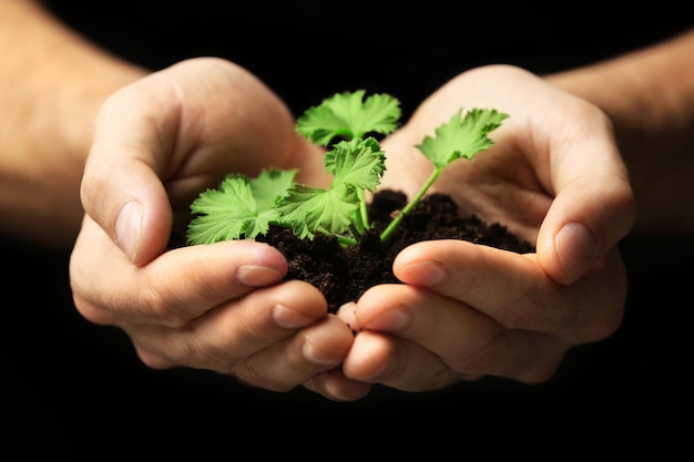 Male hands holding soil and plant on black background