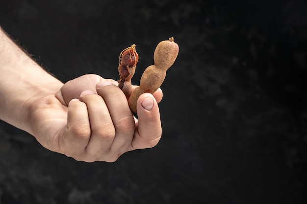 Male hands holding Tamarinds set beans in shell on a brown butchers block on a dark background Tropical healthy fruits banner menu recipe place for text