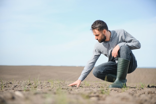 Foto mani maschili che toccano il suolo sul campo mano esperta dell'agricoltore che controlla la salute del suolo prima della crescita un seme di piantina vegetale o vegetale concetto di business o ecologia