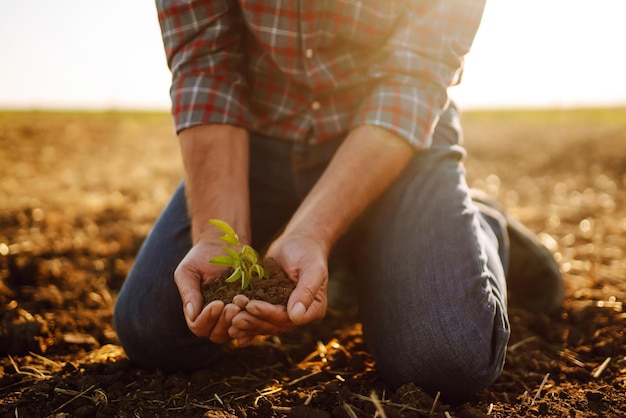 Male hands touching soil on the field Expert hand of farmer checking soil health Ecology concept