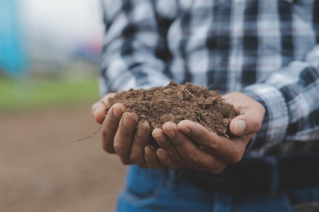 Male hands touching soil on the field A farmer checks quality of soil before sowing Agriculture gardening or ecology concept