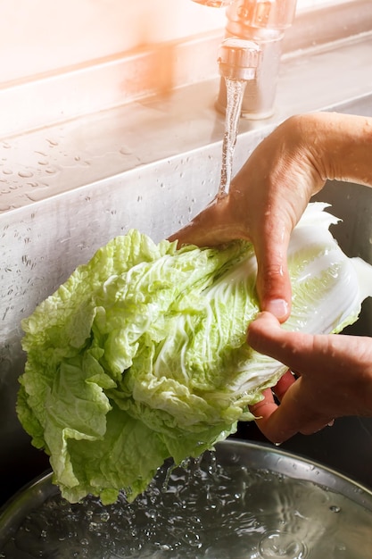 Male hands wash chinese cabbage.