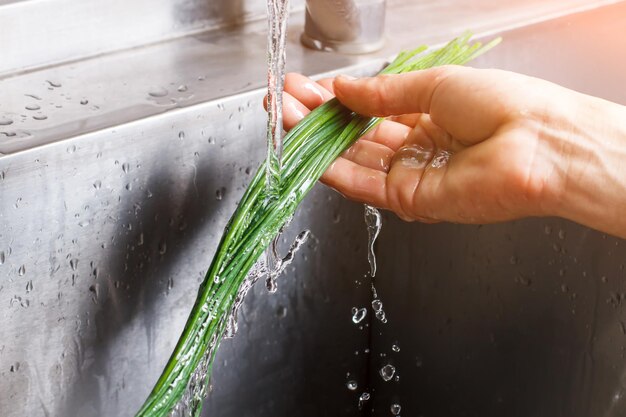 Male hands wash green onion.