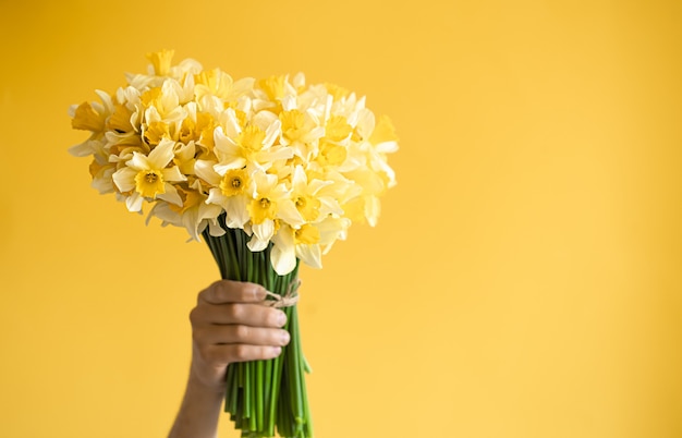 male hands with a bouquet of yellow daffodils.