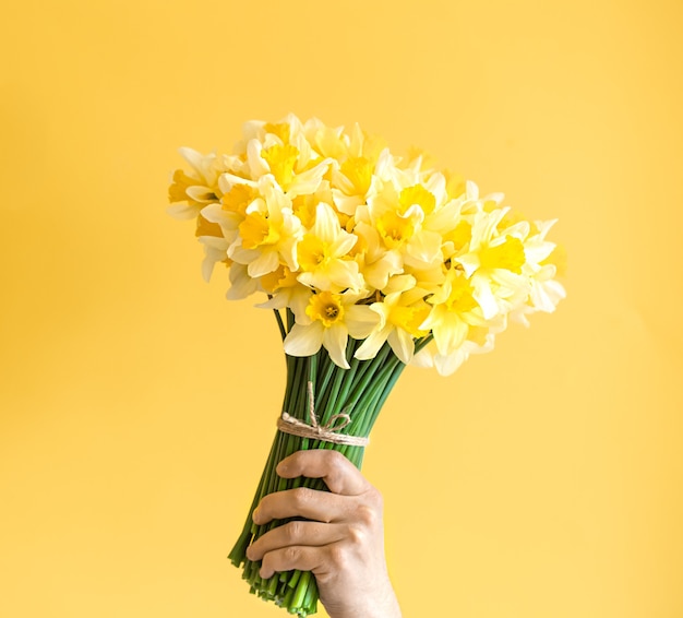 Male hands on yellow wall with a bouquet of yellow daffodils.