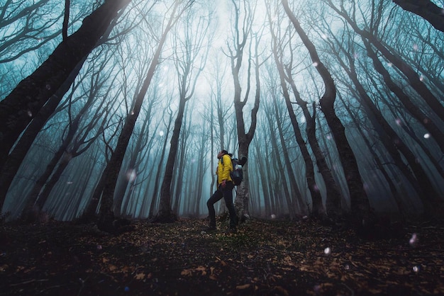 Male hiker standing in dark forest