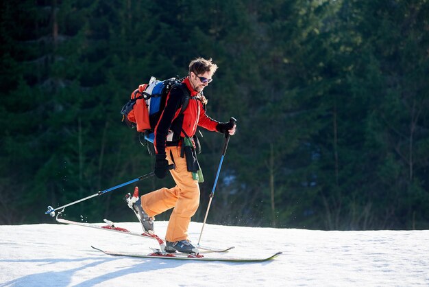 가문비나무 배경에서 스키를 타고 여행하는 배낭을 메고 있는 남성 등산객 활동적인 겨울 휴가