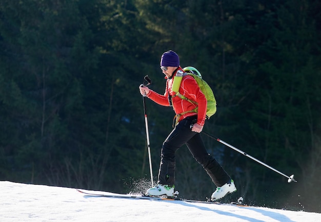Escursionista maschio con zaino che viaggia con gli sci sullo sfondo di abeti vacanze invernali attive