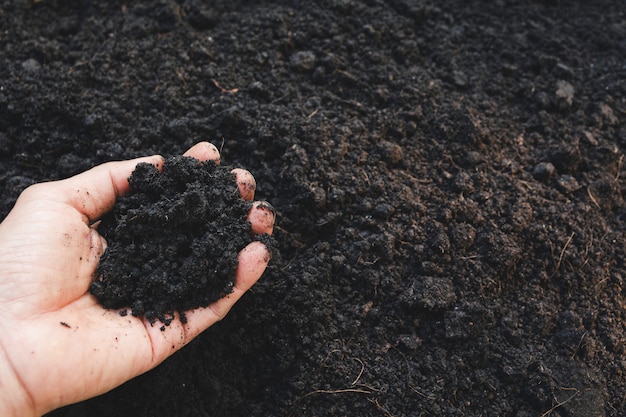 Photo male holding soil in the hands for planting concept.