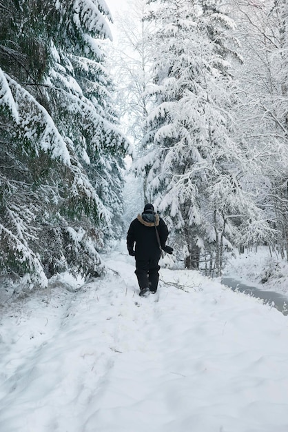 Male hunter with the rifle in the forest in winter. Hunting and shooting have been practiced for many centuries. One of the aims is to control animal population in the wild life