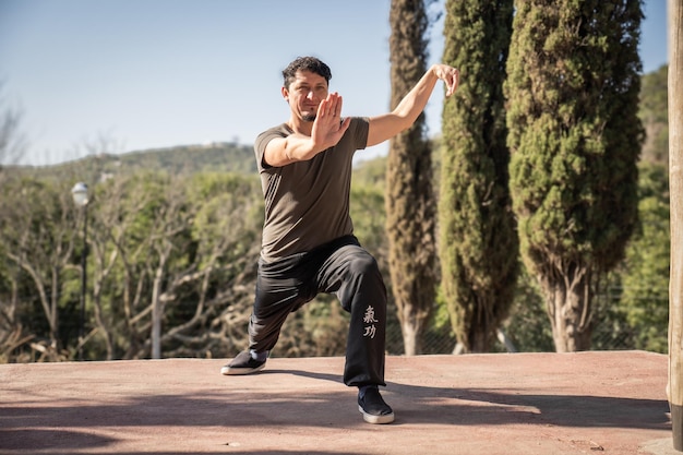 Male Kung Fu Practitioner Training Outdoors