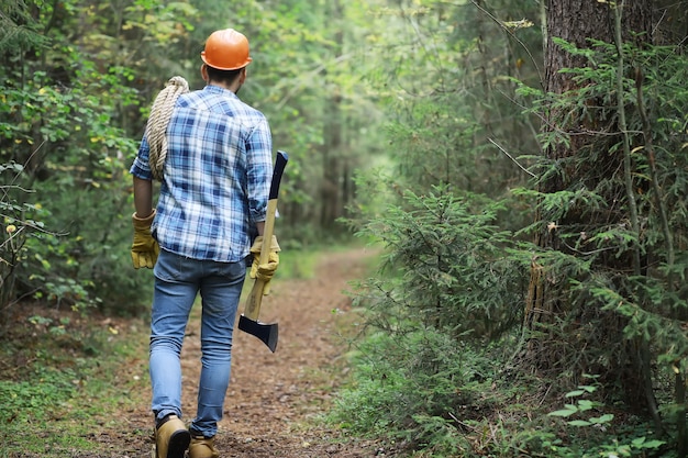 Male lumberjack in the forest. A professional woodcutter inspects trees for felling.