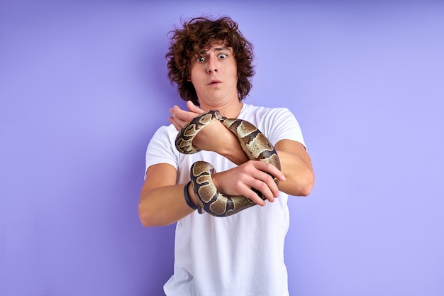 Male makes funny face grimace while holding snake in hands crawling. isolated on purple background