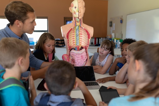 Photo male teacher using an human anatomy model to teach