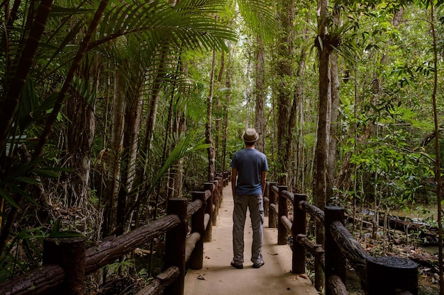 Male tourist on a trail in a rainforest view from the back