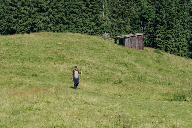 Male tourist with a stick in his hands and sunglasses walks on a mountain meadow in summer