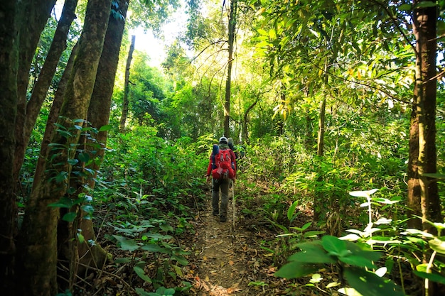 I turisti maschi fanno un'escursione nel parco nazionale di khao laem kanchanaburi thailand