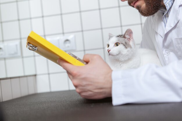 Foto veterinario maschio con un gatto nella sua clinica