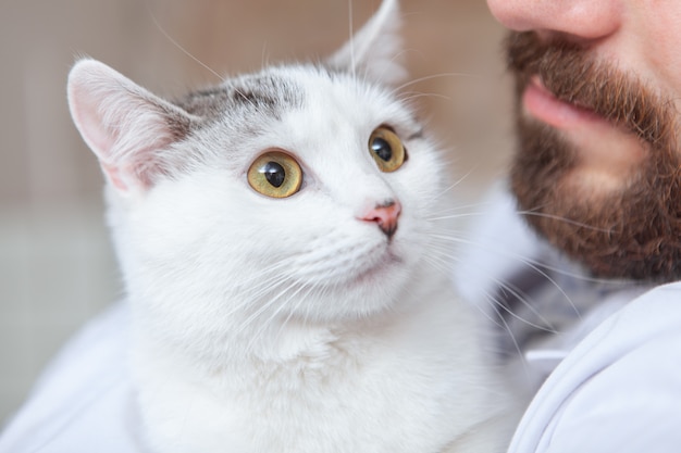 彼のクリニックで猫を持つ男性の獣医