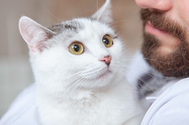 Male vet with a cat at his clinic