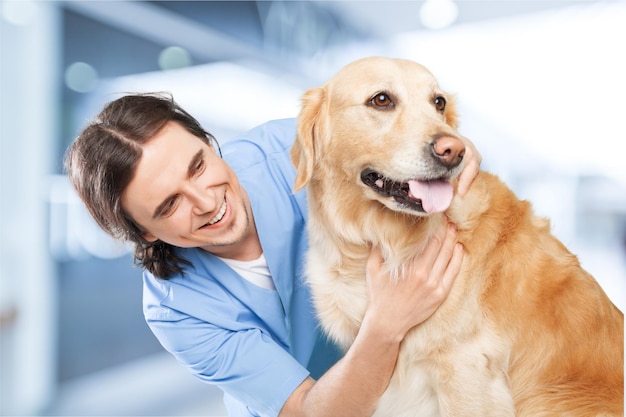 犬と男性の獣医