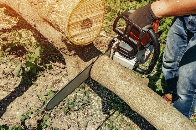 male worker cuts wood with an electric chainsaw