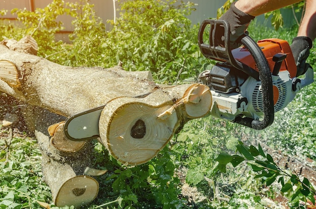 male worker cuts wood with an electric chainsaw