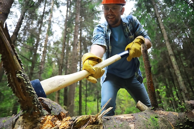 Male worker with an ax chopping a tree in the forest.