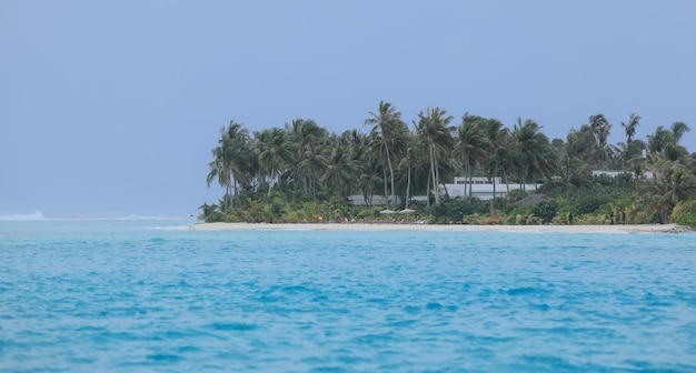 Malediven vakantie-eiland met palmbomen