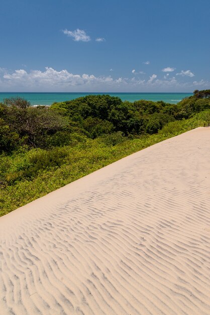 Malemba dunes Pipa beach Tibau do sul near Natal Rio Grande do Norte Brazil