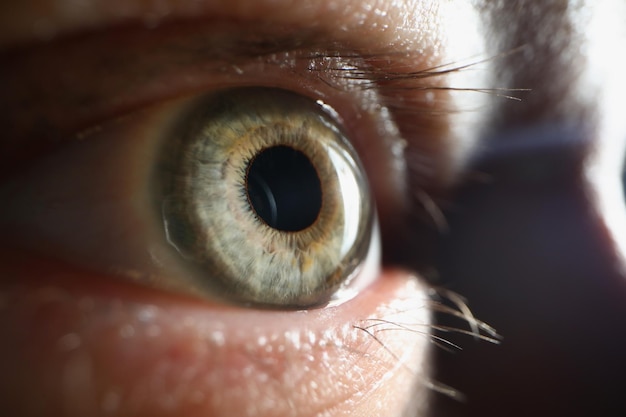 Males single eye looking away pupil and retina in extreme macro shot