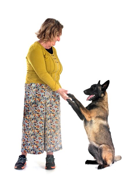 Malinois en vrouw in de studio.