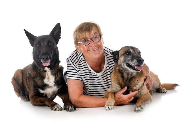 Malinois and woman in studio