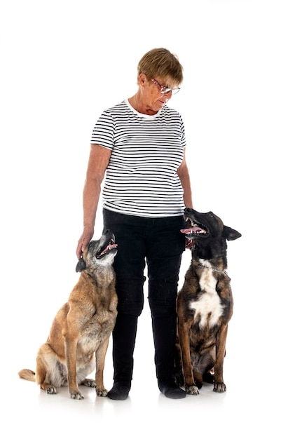 Malinois and woman in studio