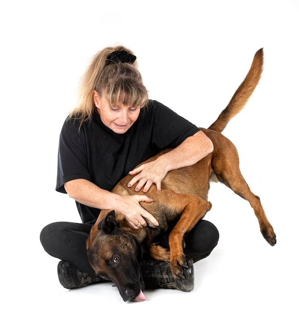 Malinois and woman in studio