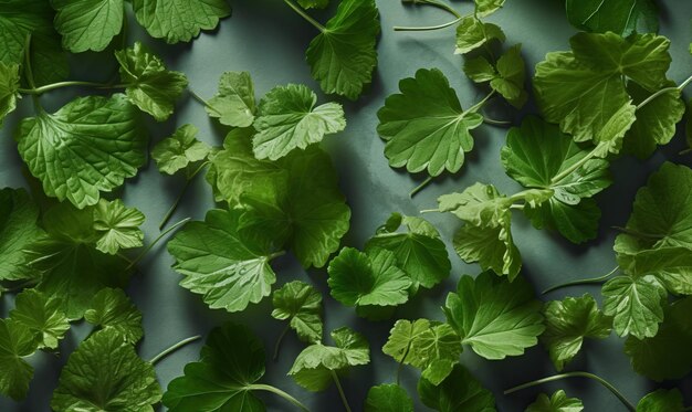 Mallow leaves on a dark background Generative AI