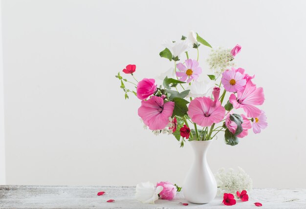 Mallow in vase on white