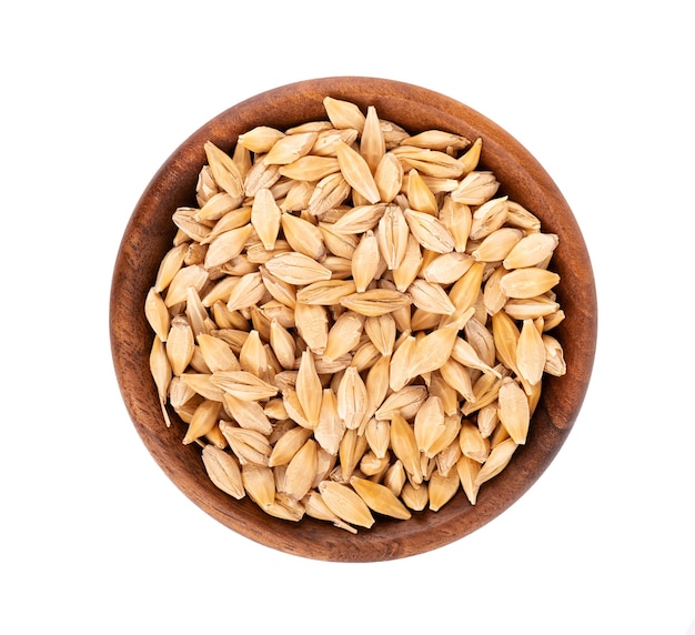 Malted barley grains in wooden bowl, isolated on white. Barley seed close up. Top view.