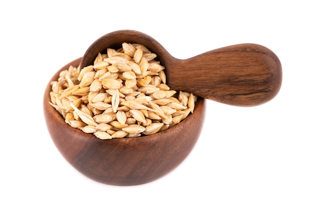 Malted barley grains in wooden bowl and spoon isolated