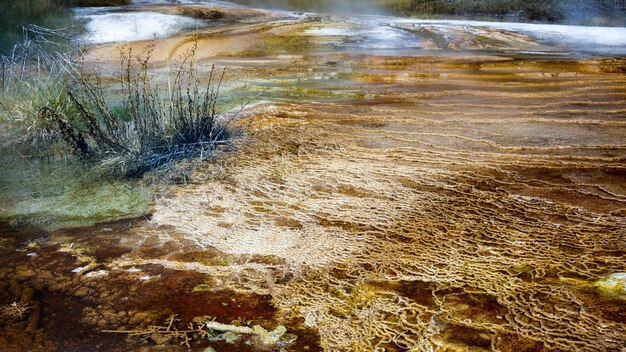 Mammoet-warmwaterbronnen in Nationaal Park Yellowstone