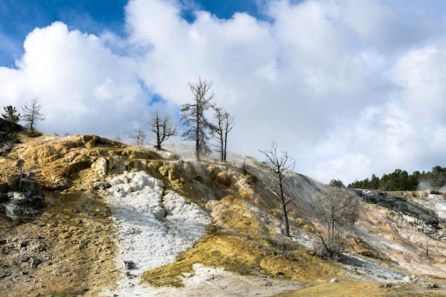 Mammoet-warmwaterbronnen in Nationaal Park Yellowstone