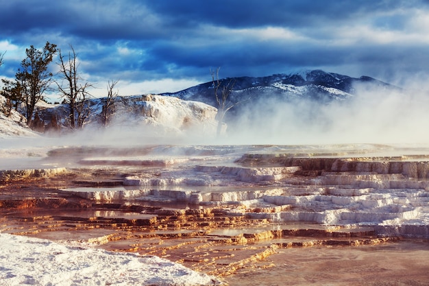 Mammoth Hot Springs in Yellowstone NP, VS