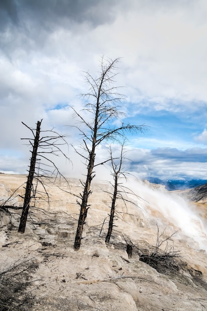 Mammoth Hot Springs in Yellowstone National Park