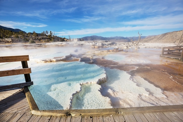 Mammoth hot springs a yellowstone np, usa