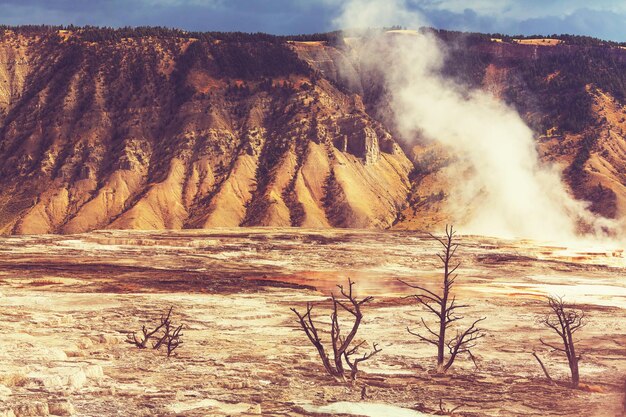 Mammoth Hot Springs