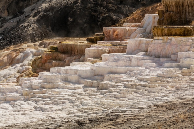 Mammoth Hot Springs