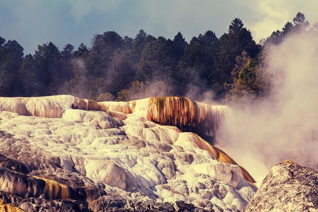 Mammoth hot springs