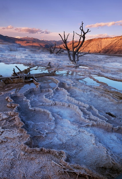 Mammoth Hot Springs